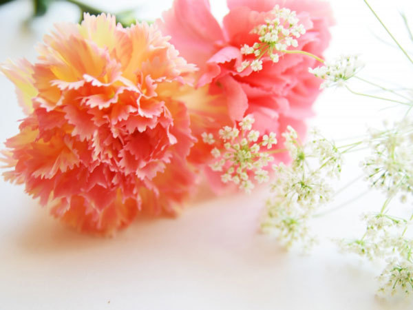 切り花で長持ちするお花の種類を教えて下さい 大阪府豊中市の花屋 花の部屋