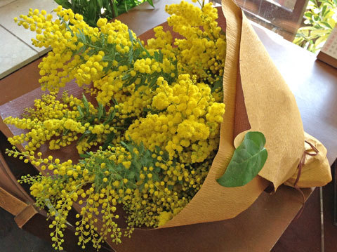 ３月８日 ミモザの日 に 感謝のミモザを 大阪府豊中市の花屋 花の部屋