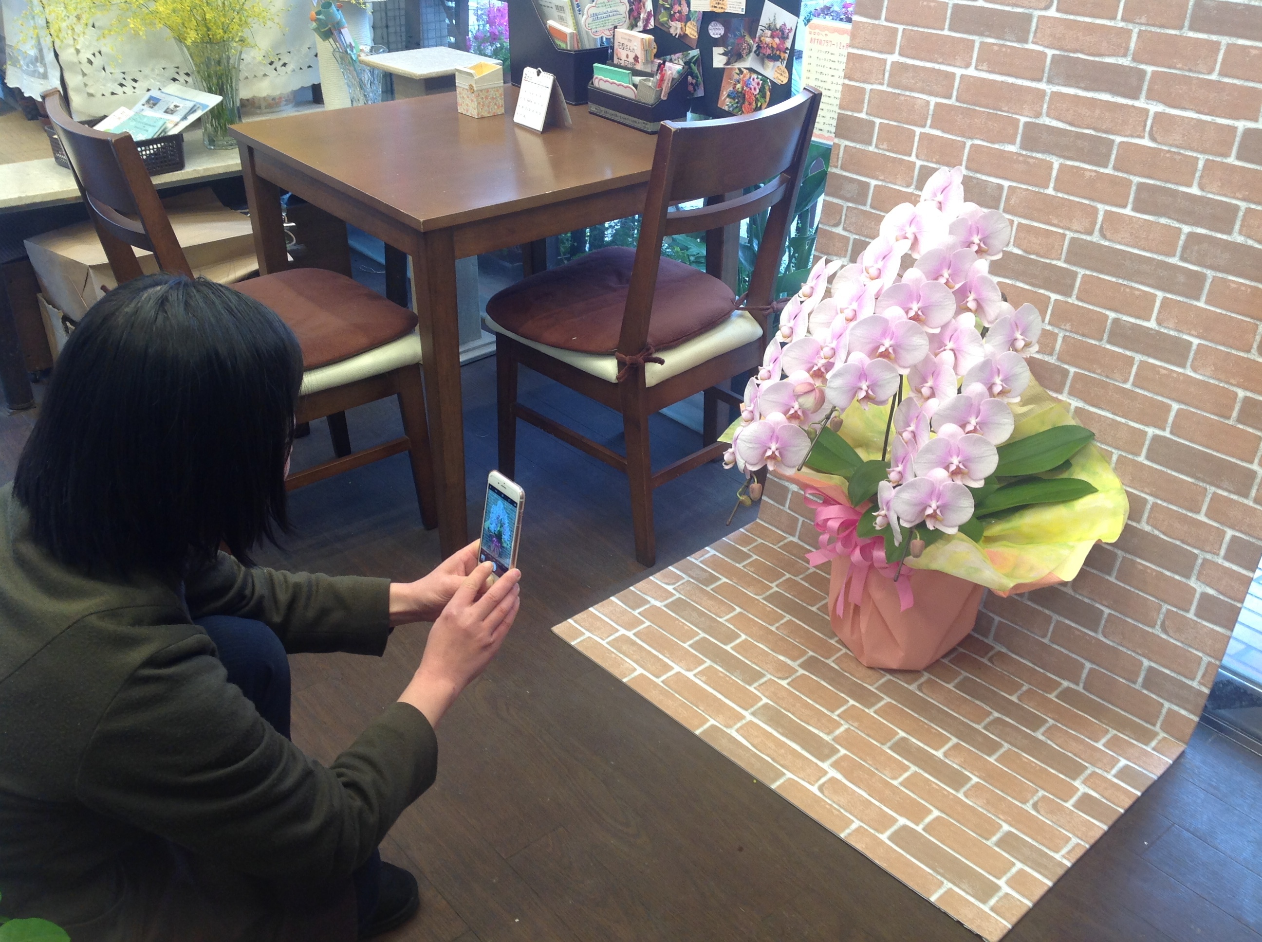 胡蝶蘭を自分で持ち帰るのって 大丈夫 大阪府豊中市の花屋 花の部屋
