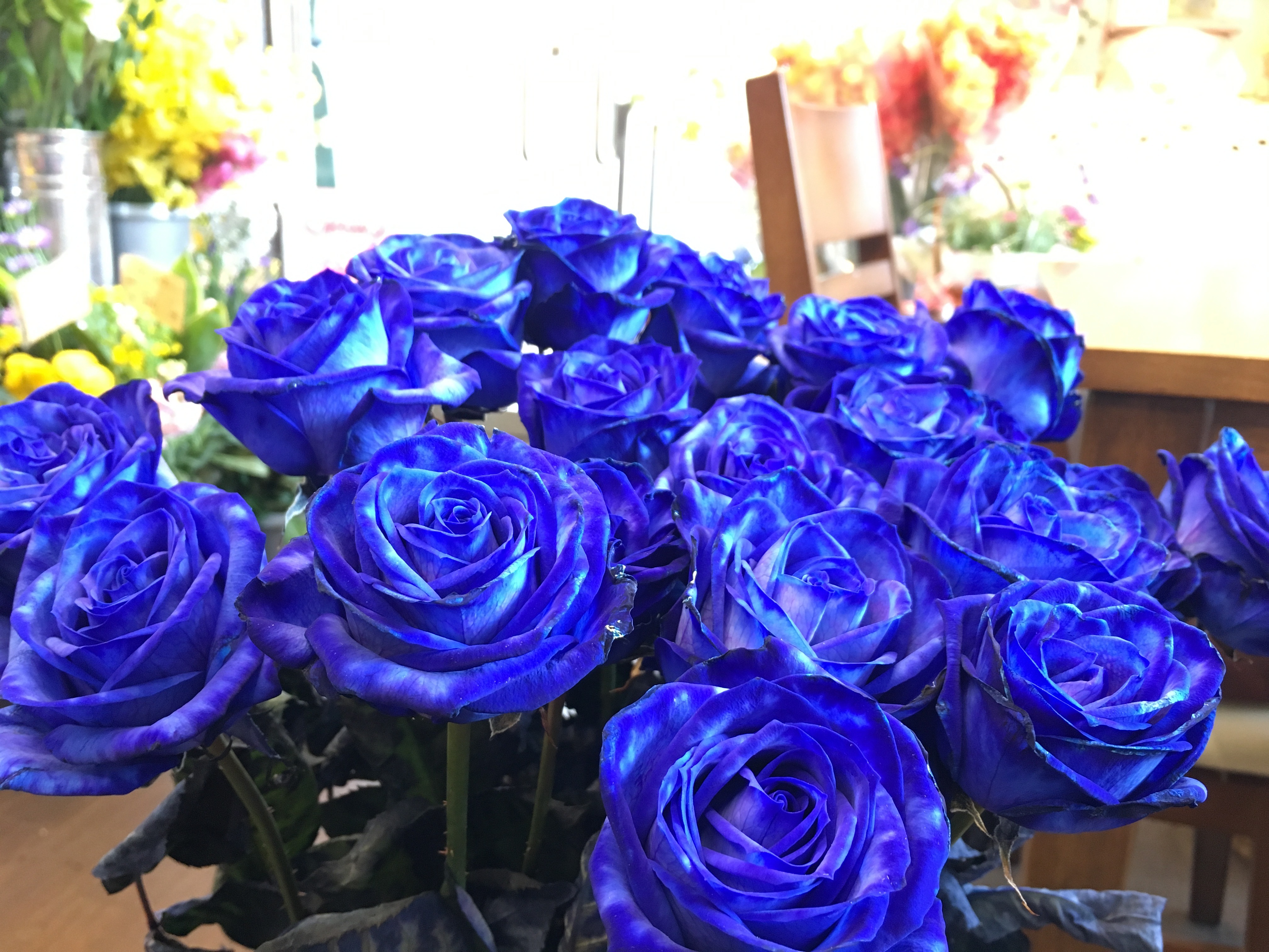 青バラのスタンド花 大阪府豊中市の花屋 花の部屋