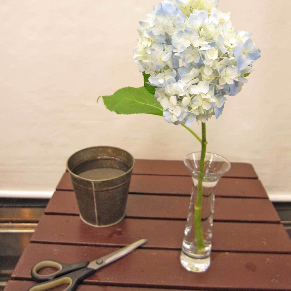 切花がしおれてきた時の対処法を教えて下さい 大阪府豊中市の花屋 花の部屋