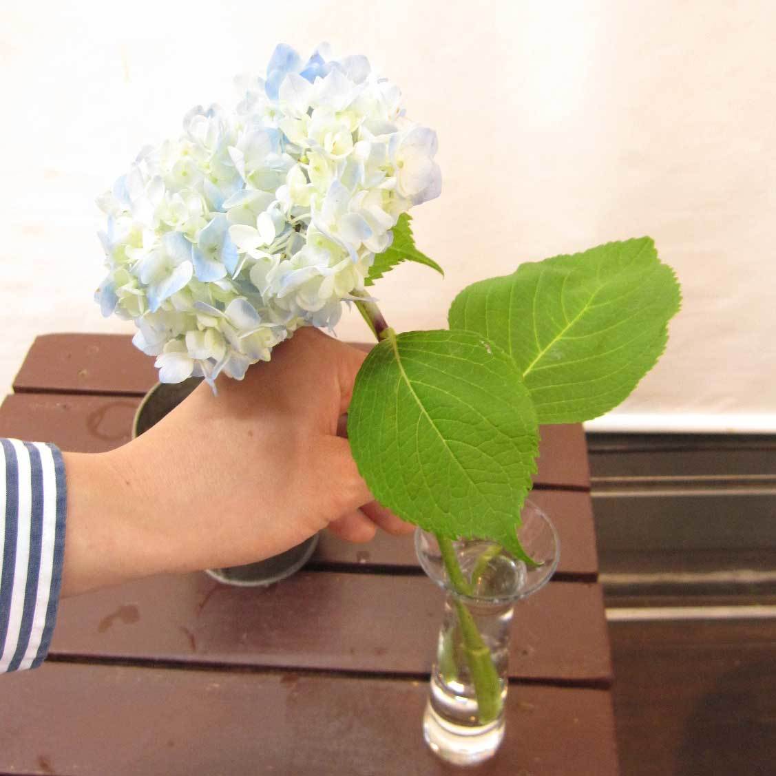 切花がしおれてきた時の対処法を教えて下さい 大阪府豊中市の花屋 花の部屋