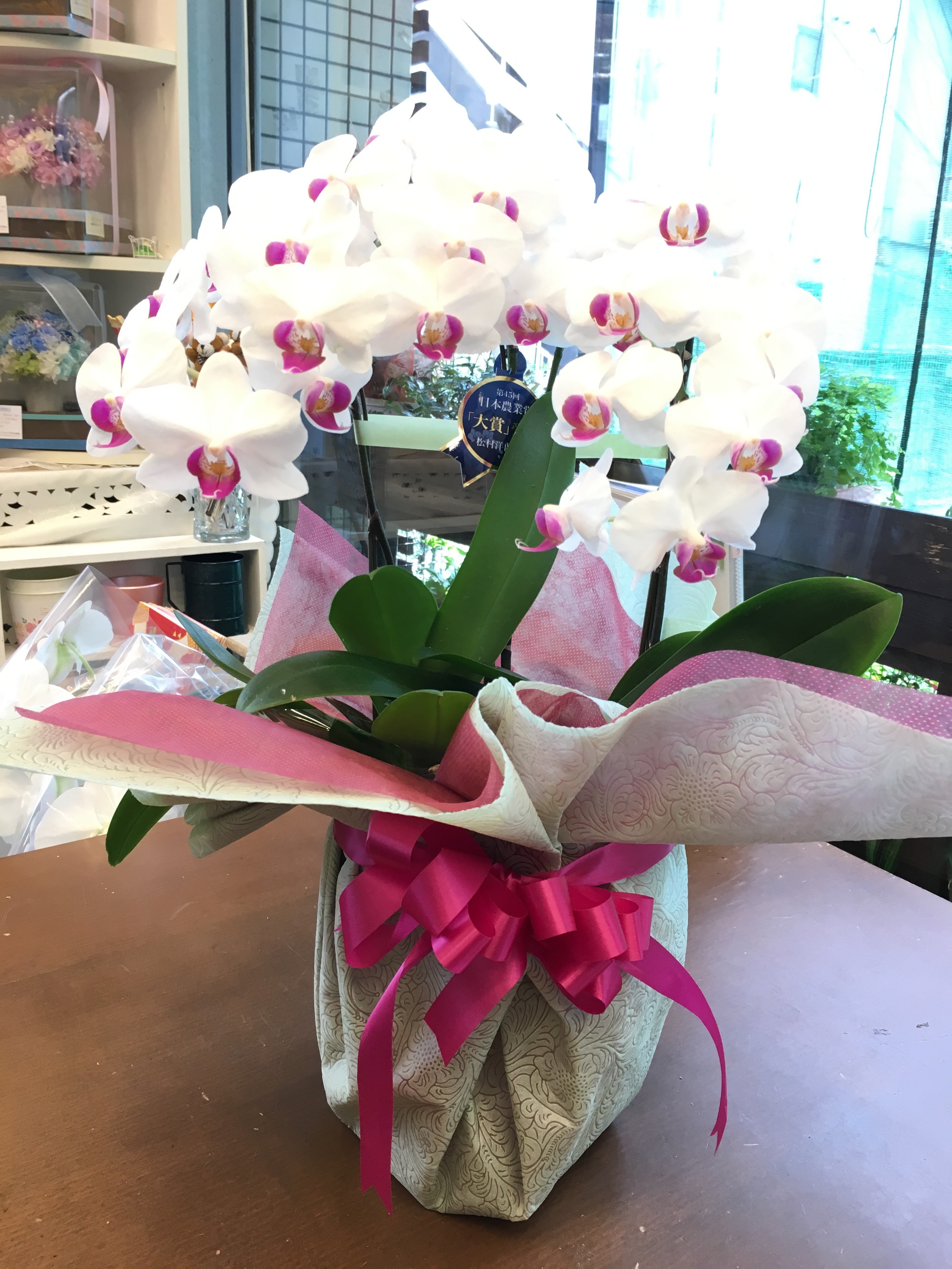胡蝶蘭を自分で持ち帰るのって 大丈夫 大阪府豊中市の花屋 花の部屋