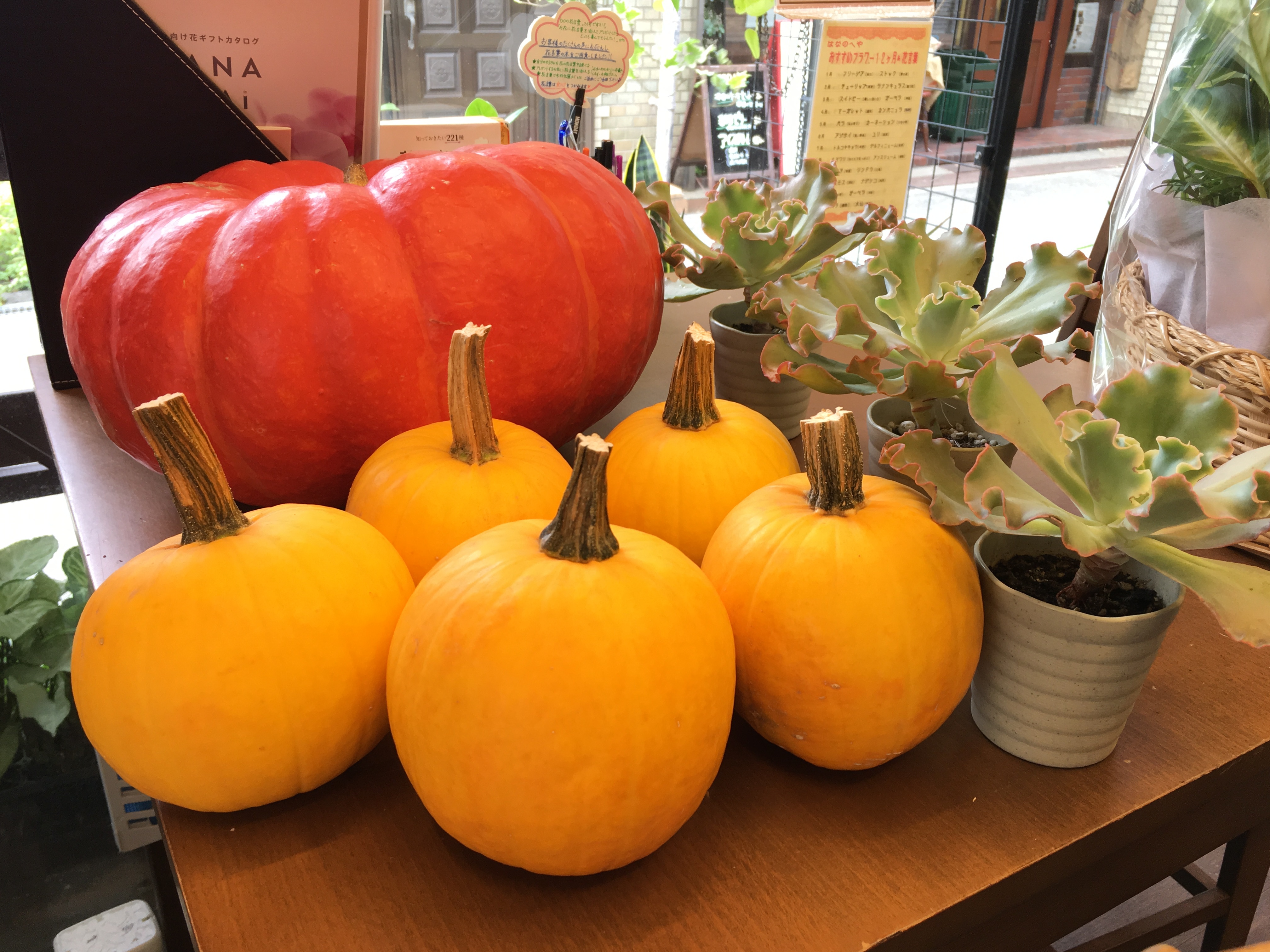 おもちゃかぼちゃ 姫リンゴなど秋の実ものがゴロゴロ 大阪府豊中市の花屋 花の部屋