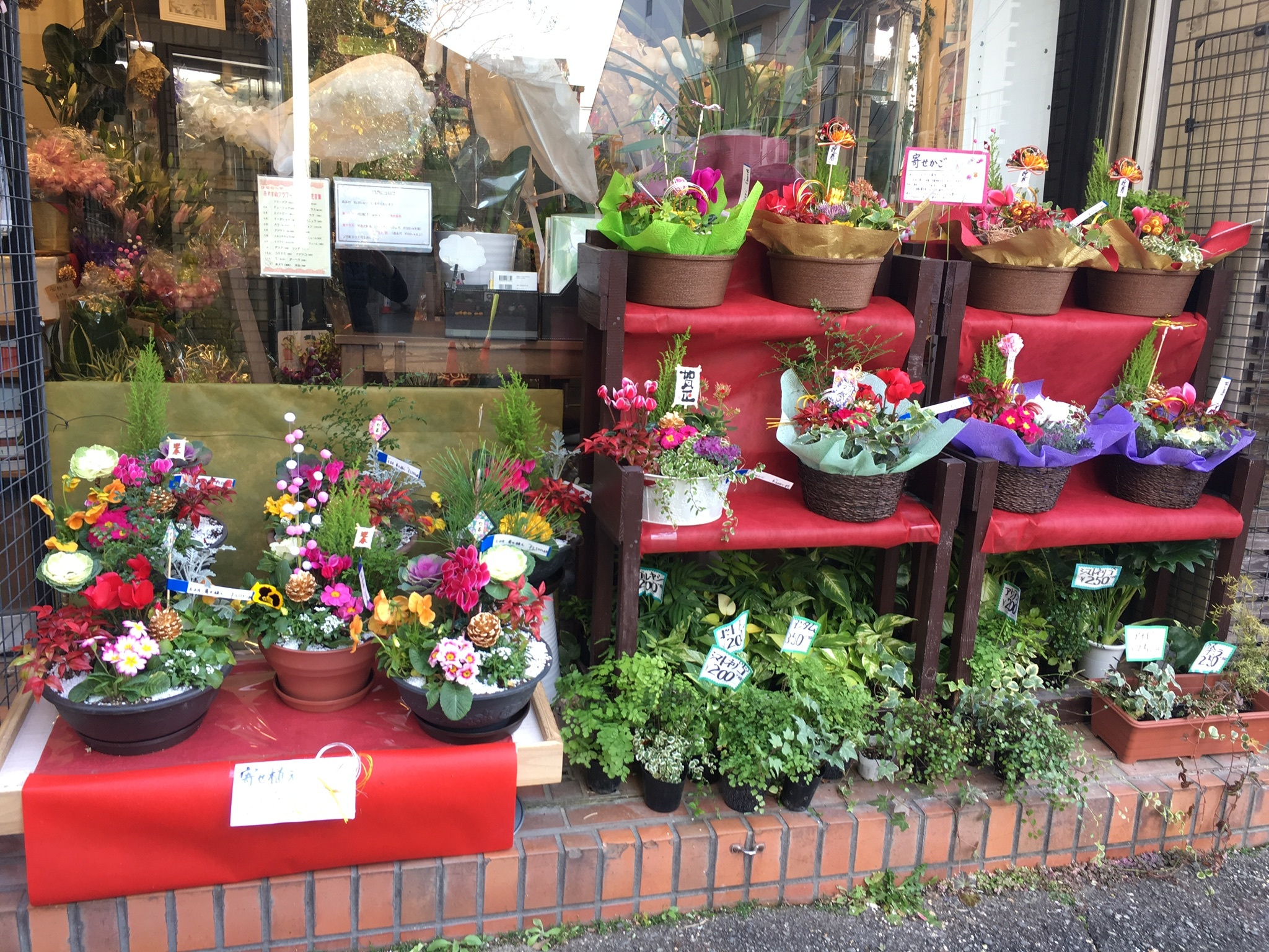 お正月の玄関飾りに 当店人気の寄せ植え 寄せかご 大阪府豊中市の花屋 花の部屋