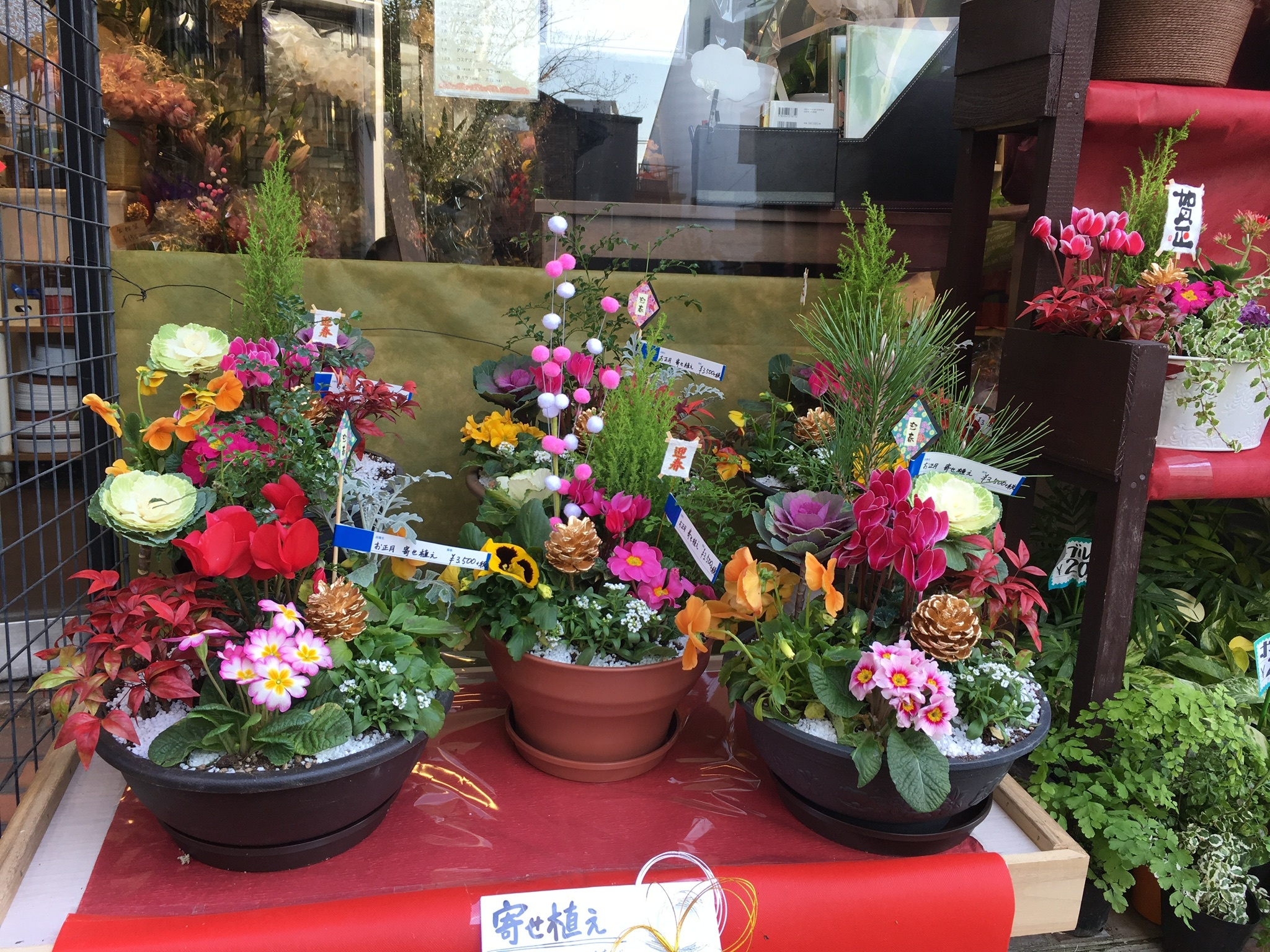 お正月の玄関飾りに 当店人気の寄せ植え 寄せかご 大阪府豊中市の花屋 花の部屋