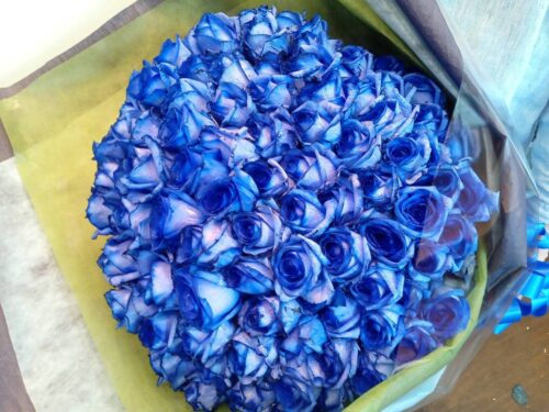 豊中市 花屋 花の部屋 青バラ100本